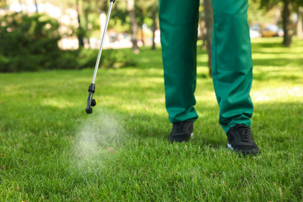 Best Wasp Removal Services  in Roebuck, SC