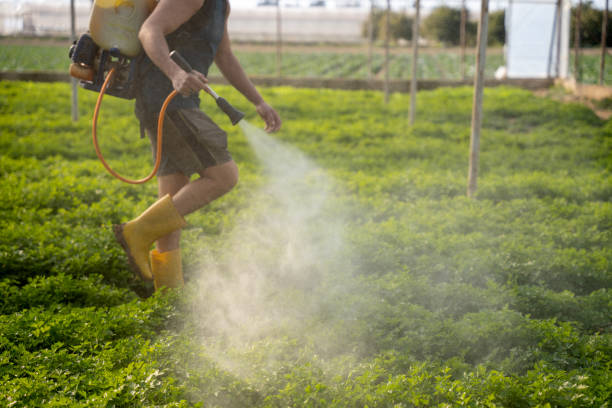 Best Pest Control Near Me in Roebuck, SC