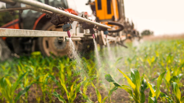 Best Wildlife Control Services  in Roebuck, SC